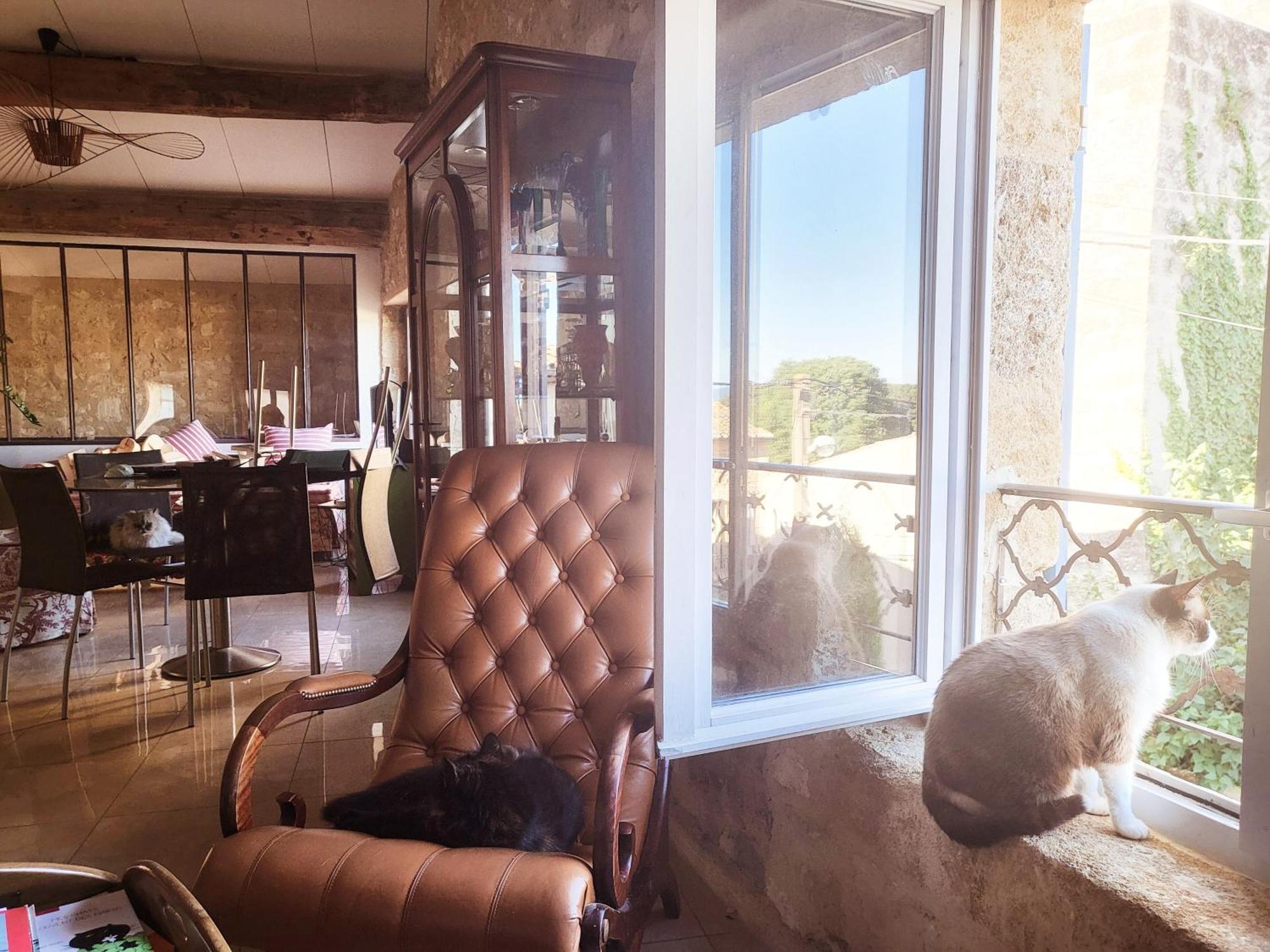 Bed and Breakfast La Rose Du Vent Saint-Pons-de-Mauchiens Zewnętrze zdjęcie